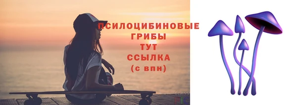 гидропоника Краснослободск